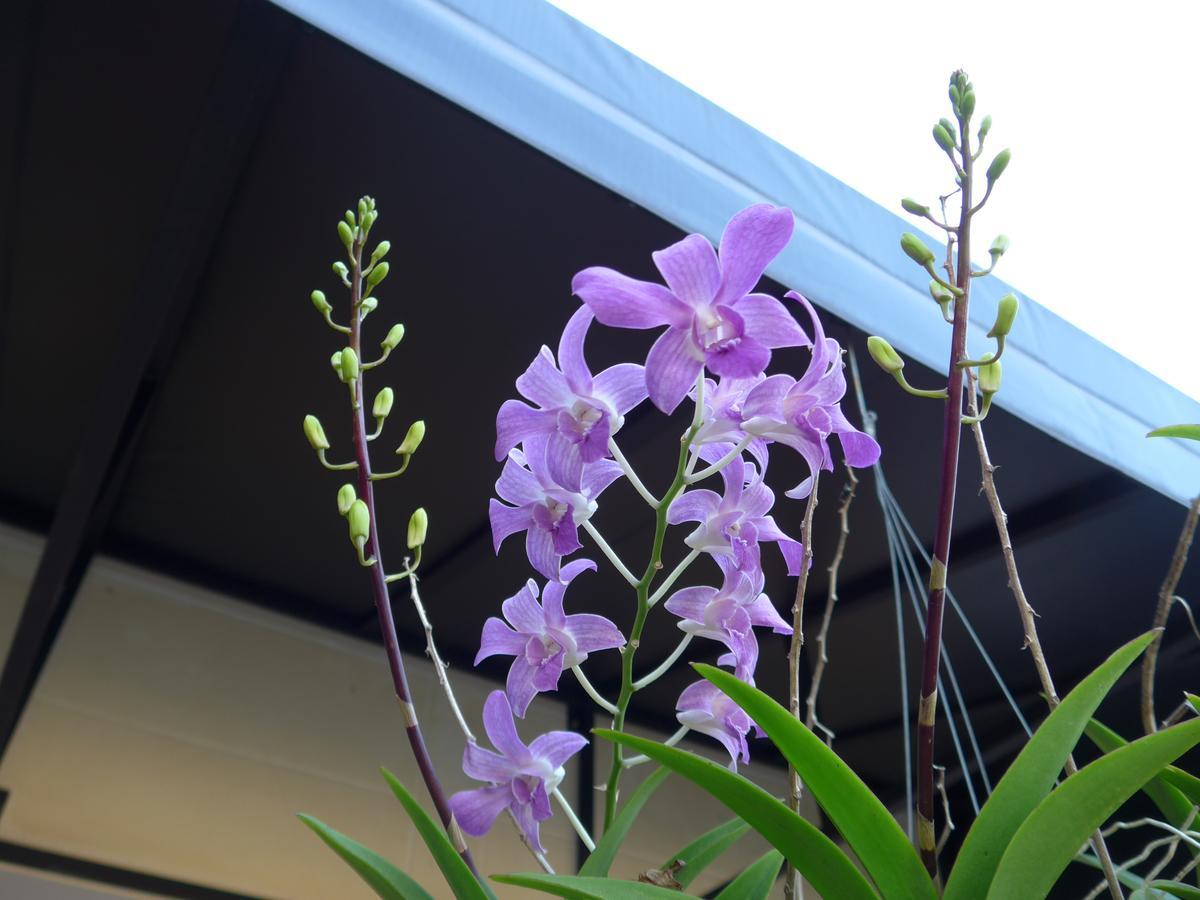 Forum House Hotel Krabi Bagian luar foto